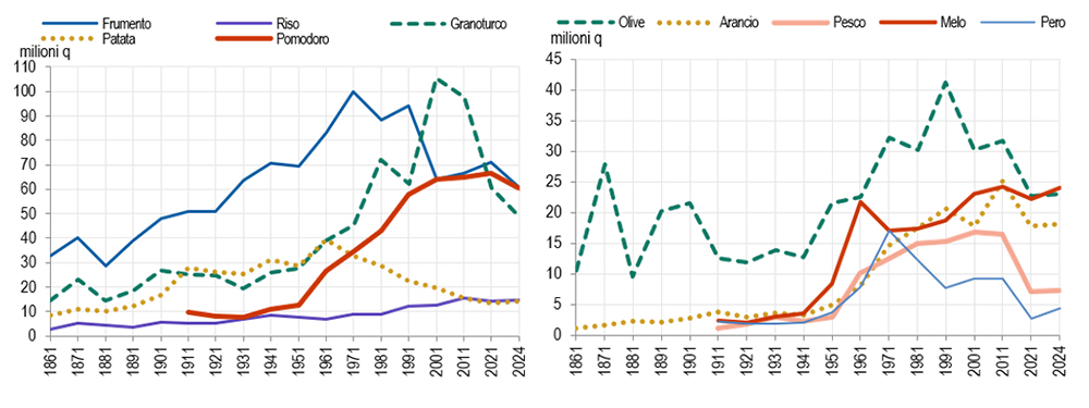 FIGURA 6. PRODUZIONE PER ALCUNE SPECIE VEGETALI (SINISTRA) E COLTIVAZIONI LEGNOSE (DESTRA). ANNI 1861-2024. Milioni di quintali